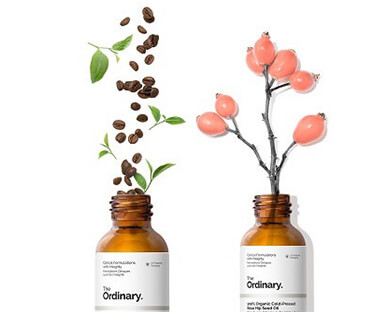 the ordinary feature