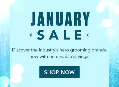 January SALE